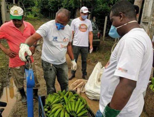 Ilhéus é destaque no Programa Alimenta Brasil; iniciativa fortalece atividade do pequeno agricultor