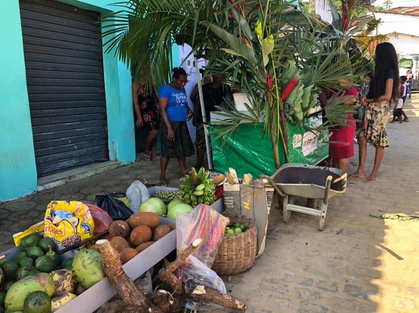 Programa Feira Verde retorna nesta quarta-feira no distrito de Taboquinhas, em Itacaré