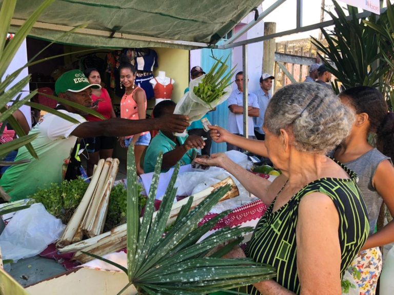 Prefeitura de Itacaré inicia o Programa Feira Verde no distrito de Taboquinhas