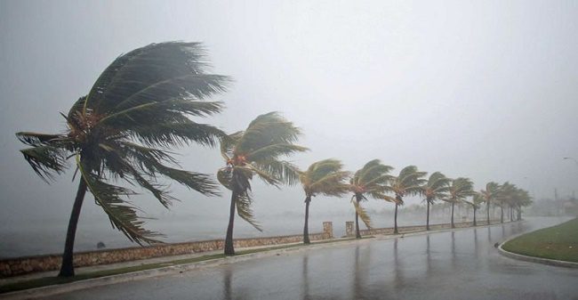 Defesa Civil emite alerta de fortes chuvas no Sul da Bahia