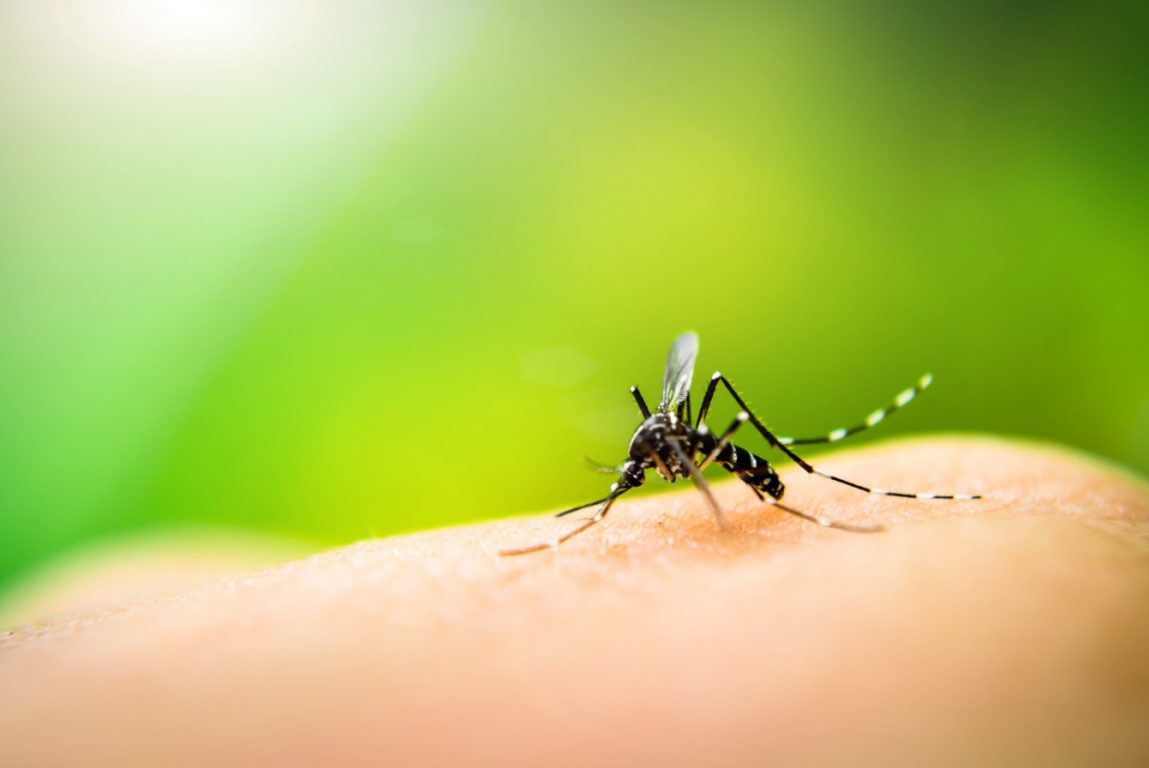 Sobe para 1,2 mil o nº de casos de dengue em Itabuna; cidade enfrenta epidemia