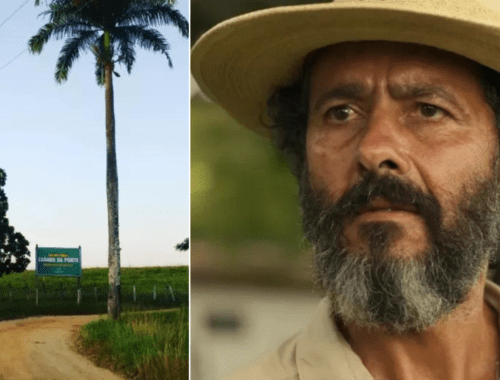 Incêndio atinge fazenda da família do ator Marcos Palmeira em Itororó